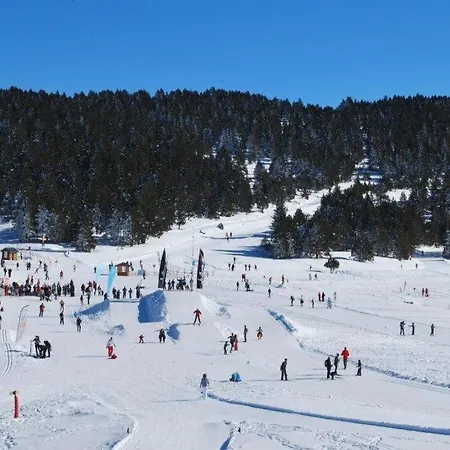 Bel Centre De * Foix